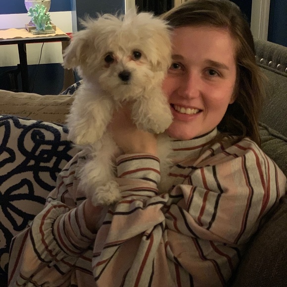 Meet your posher - Picture 6 of 6